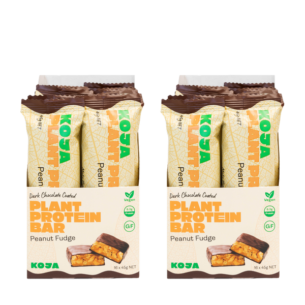 Peanut Fudge Plant Protein Bar - 16 Bars
