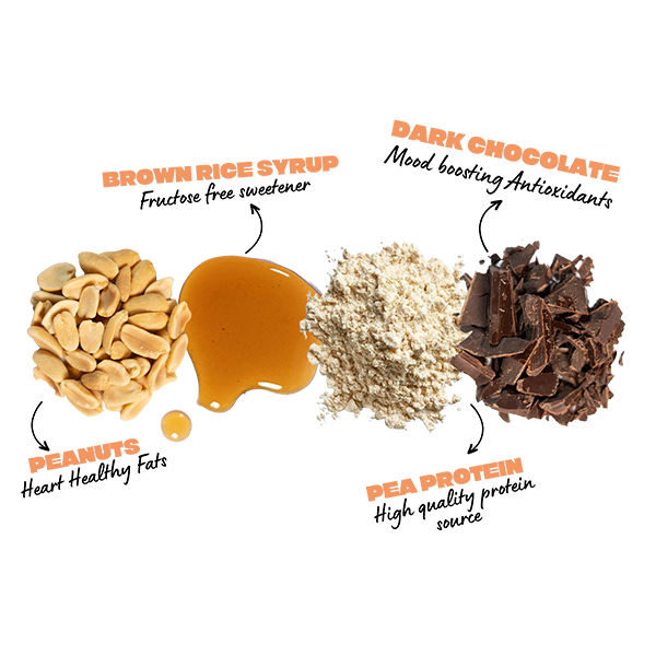 Peanut Fudge Plant Protein Bar - 16 Bars