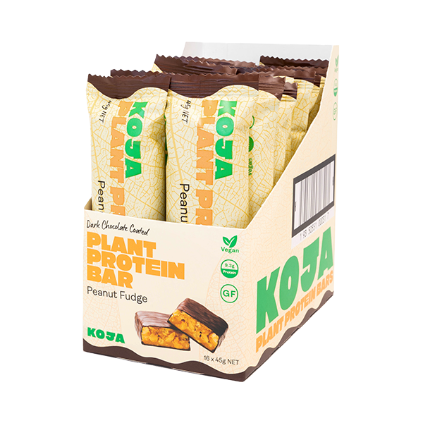 Peanut Fudge Plant Protein Bar
