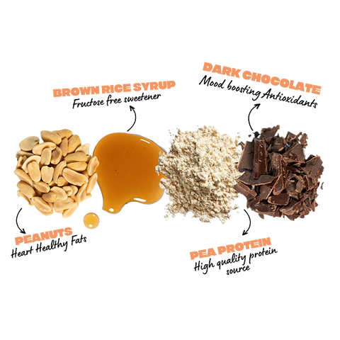 Peanut Fudge Plant Protein Bar