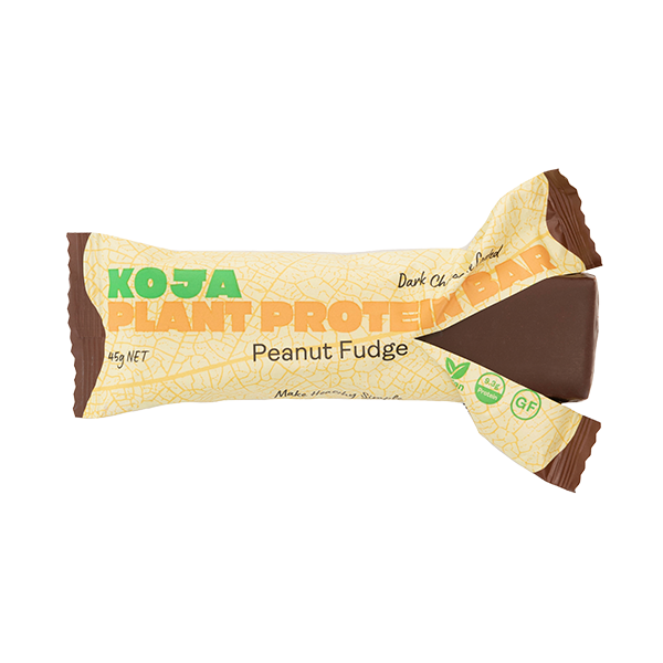 Peanut Fudge Plant Protein Bar